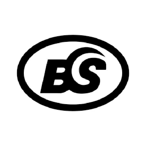 BS 